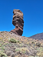 20261009_124838.jpg
