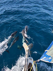 20260924_102400_3bedb52e.jpg