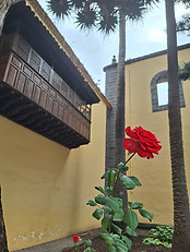 20261002_114036.jpg