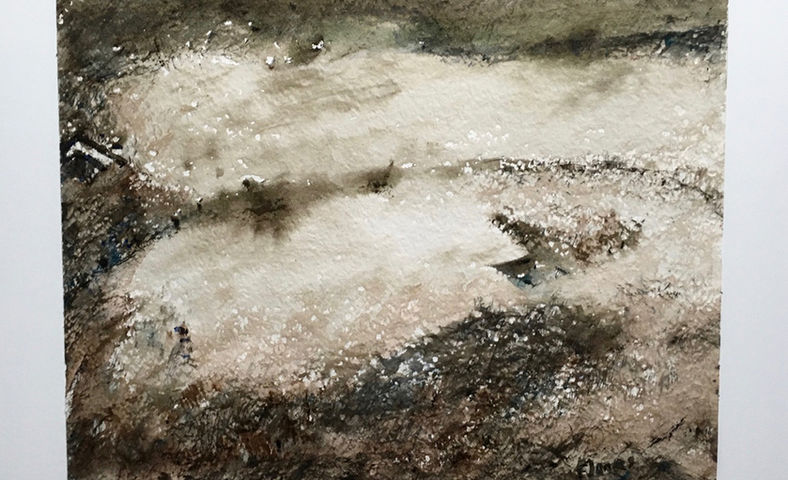 Encres sépia, bistre et aquarelle sur papier chiffon, 29,5 x 40 cm