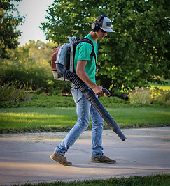 backyard landscaping