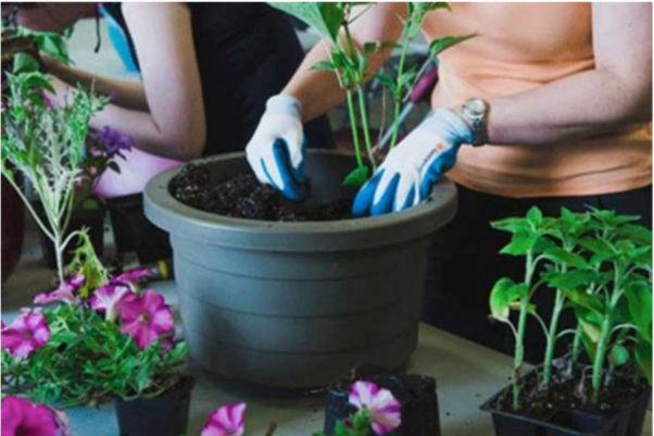 Pot_Fleuri