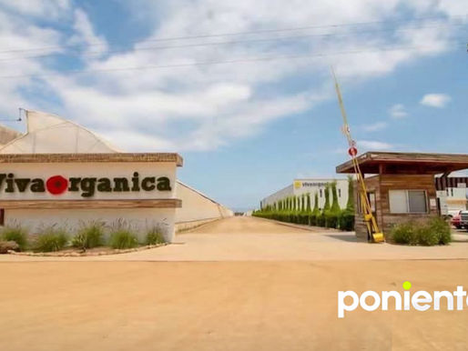 Desaparecen tres trabajadores de la empresa agrícola Viva Orgánica tras ser privados de la libertad en Maneadero