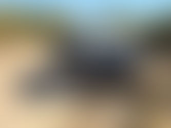 ENFRENTAMIENTO EN LA LAGUNA HANSON DEJA UN DETENIDO HERIDO Y ARMAMENTO ASEGURADO