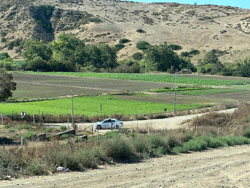 SURGEN CRÍTICAS POR OPERATIVOS DE MOVILIDAD MUNICIPAL EN ROSARITO