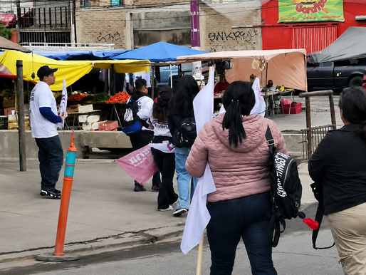 Reportan entrega de propaganda relacionada con Julieta Ramírez en El Florido