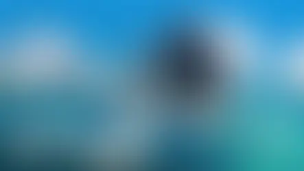 King of Seas PC Español