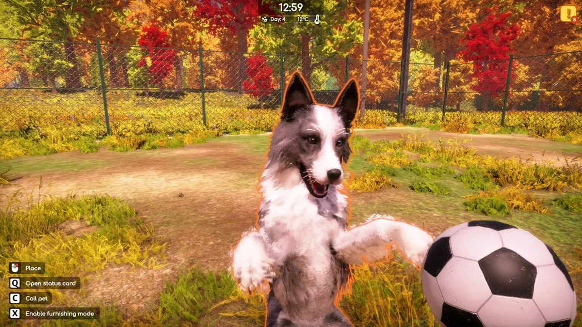 Captura de Animal Shelter 2 NenioGames