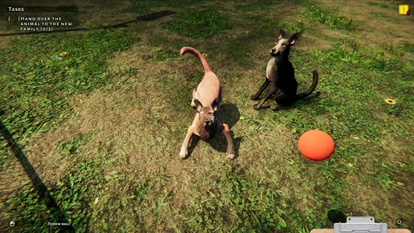 Captura de Animal Shelter - NenicoGames
