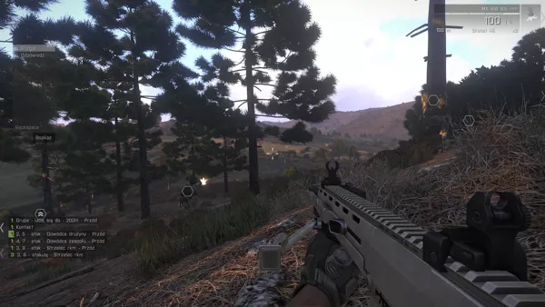 Captura de ARMA III - NenicoGames