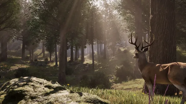 Captura de The Elder Scrolls IV Oblivion Remastered - NenicoGames