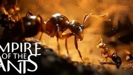 Empire of the Ants para PC gratis