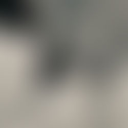 6 things I’ve learnt from my Cats by Asif Bin Azad