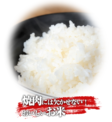 lunch1_03.png