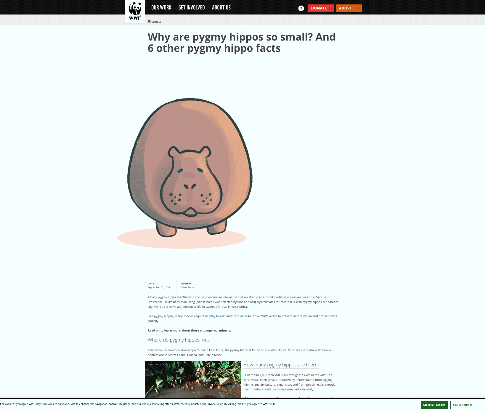 SAV_202530_ILLU433_Justine_Rideout_A1_InformUs-copy.gif