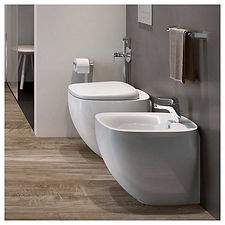 rak-ceramics-wc-rak-illusion-filo-muro.jpg