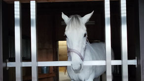 ハイボリュームライターズコラムVol.7