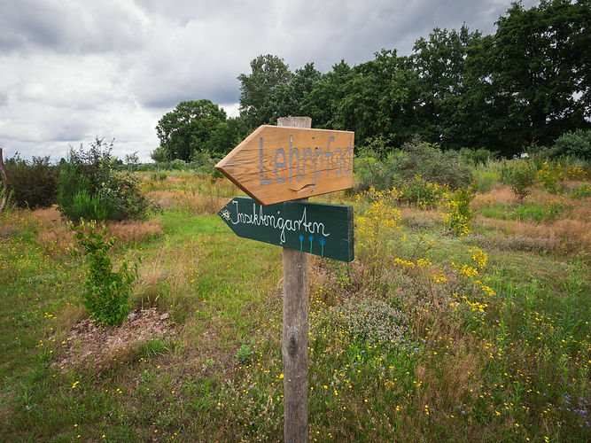 P1013213-2.jpg