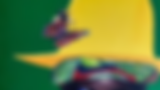 lemon seed test.png