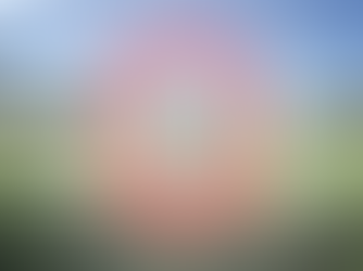 Early Rego’s for the 2025/2026 season