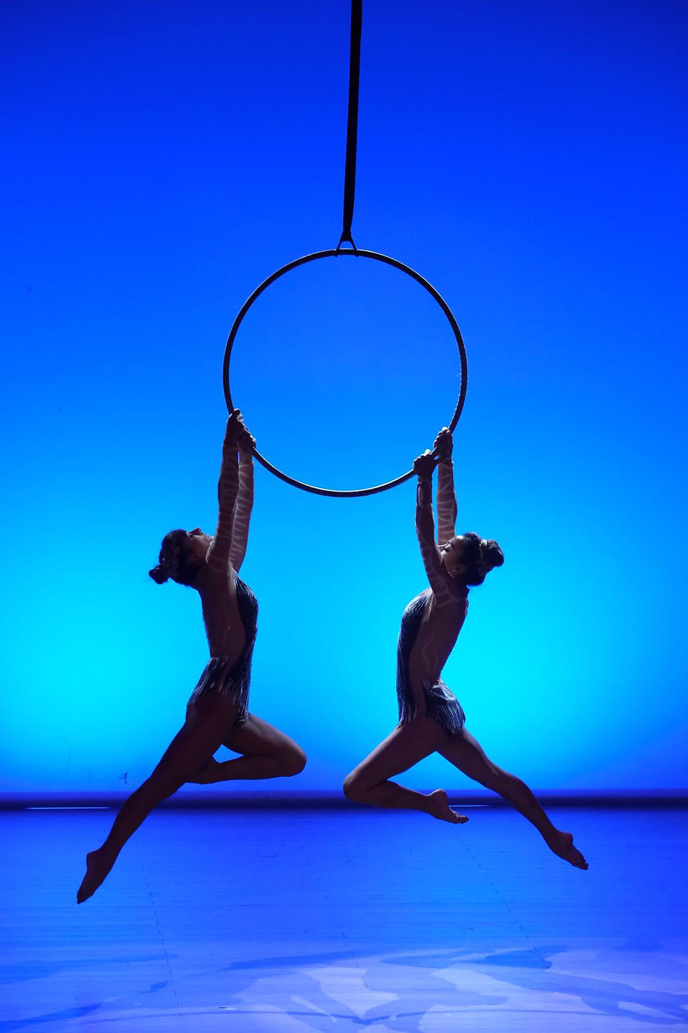 duet aerial hoop  (6)