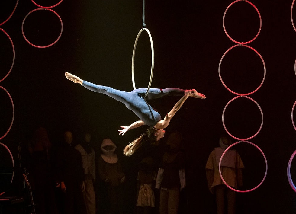 Raquel Carpio_aro aéreo Perenne 3