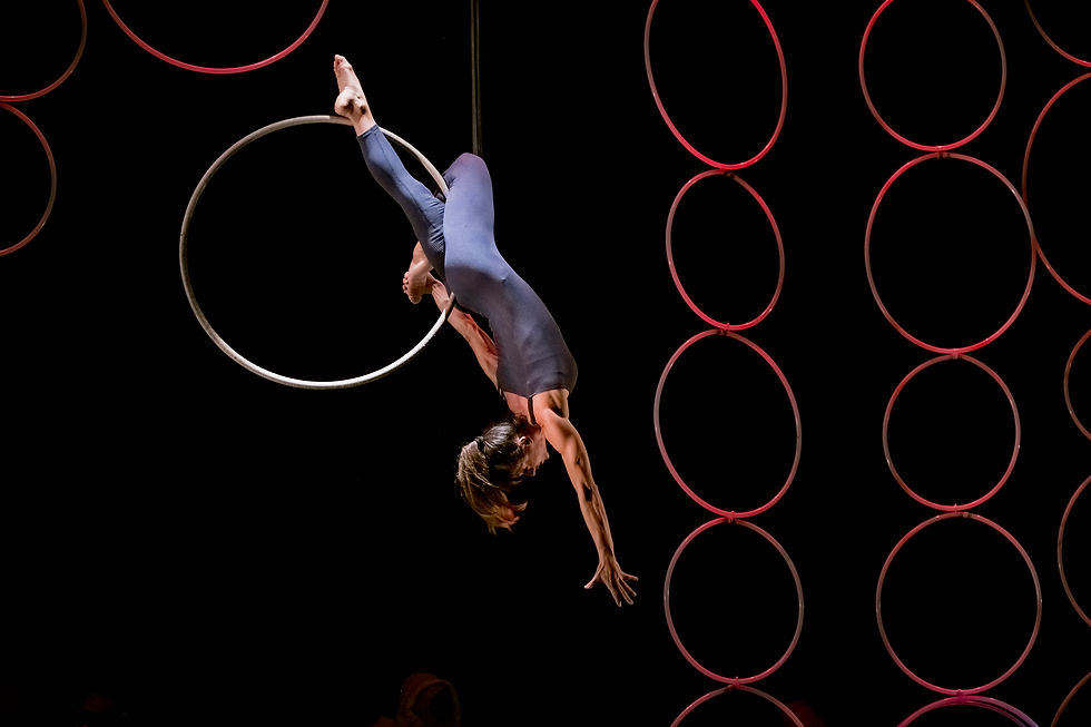 aro_aerial hoop Raquel (2)