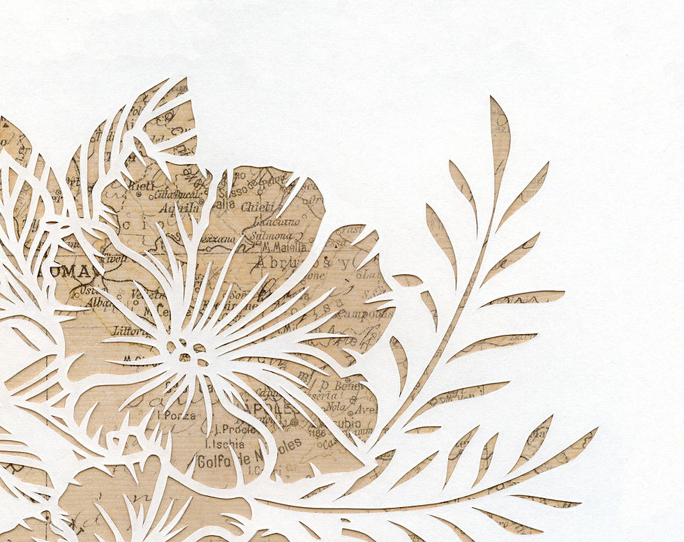 Thumbnail: Petunia Topography
