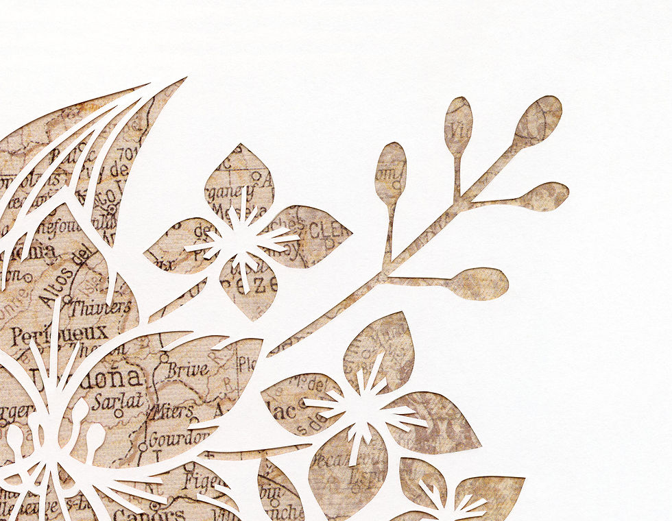 Thumbnail: Bench Mark Lily and Twig