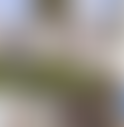 ARCHT CENTER OF PERFORMING ARTSA AND ART & CULTURE CENTER OF HOLLYWOOD