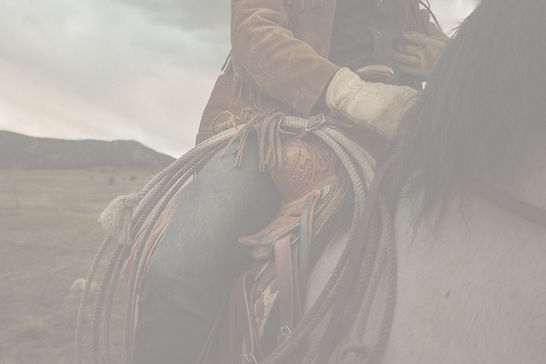 woman in brown leather jacket riding white horse during daytime_edited.jpg