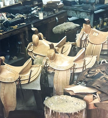 saddles_edited.jpg
