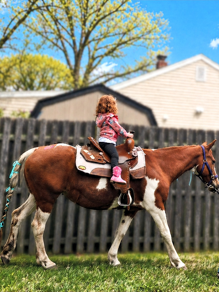 maiaHorse_edited.jpg