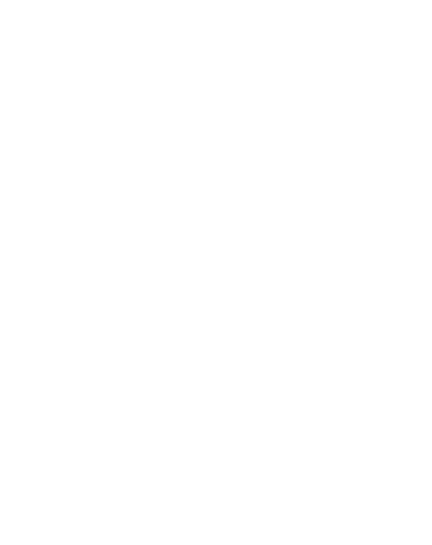 icon-tiktok.png