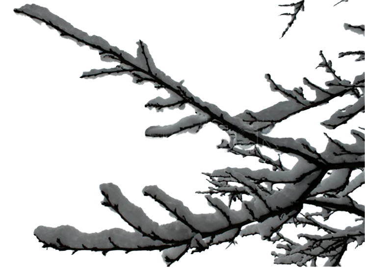 branch-RIGHT_WINTER.png