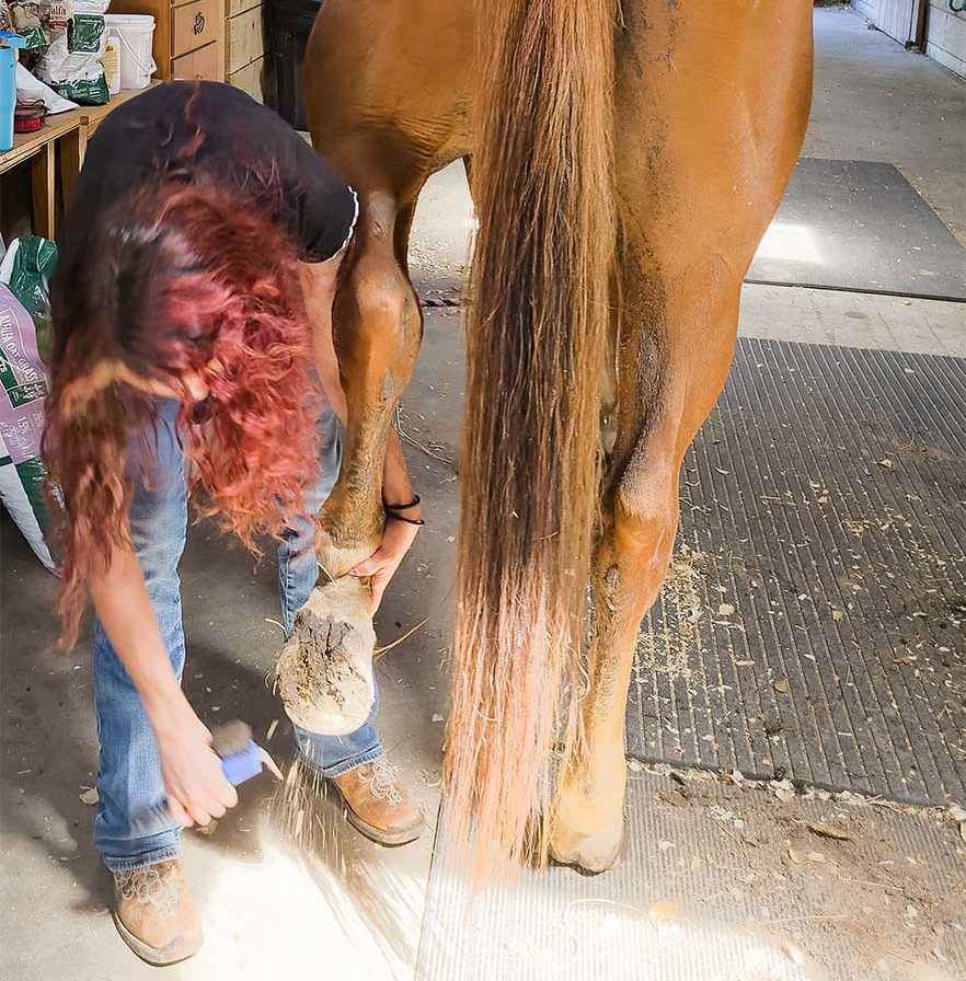 Girl taking a lesson picking feet at Heritage Ranch NJ