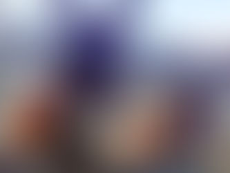 mini donkeys from a mobile mini farm at an event in New Jersey