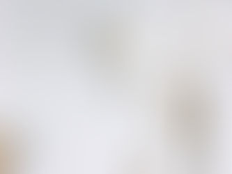 Organize with ANNI | The 4 Stages of Organization as a Process (Not an Event)