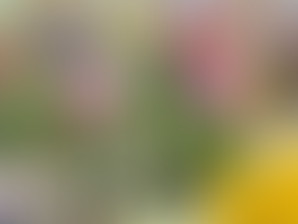 Expo&Flor celebra os 200 anos de Ponta Grossa