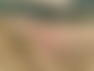 Com safra recorde de trigo, Paraná mantém ritmo de venda aos mercados interno e externo