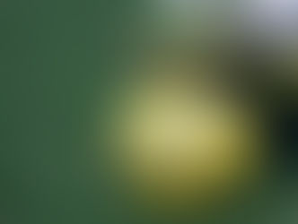 10ª Copa AMCG de Futsal inicia neste sábado