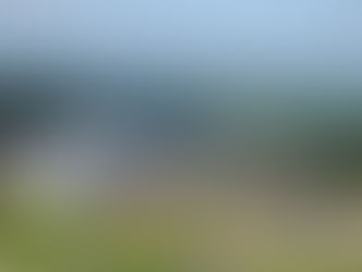 IAT concede licença ambiental para uma nova unidade da Frísia em Ponta Grossa