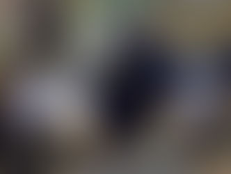 PRF apreende carregamento de drogas na BR 376 em Ponta Grossa