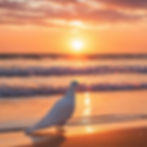 majestic beach sunrise with white dove.jpg