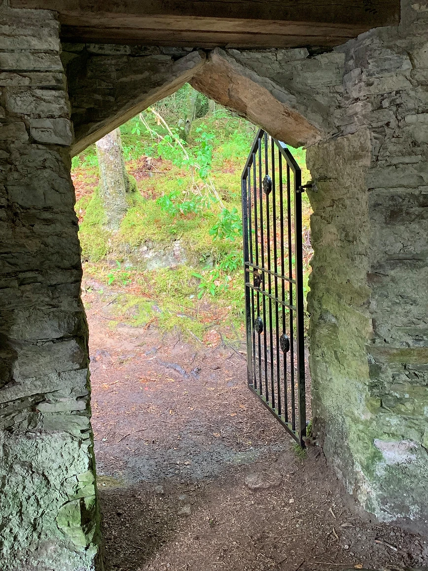 The Door
