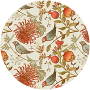 Catherine Lilburn Herbalist