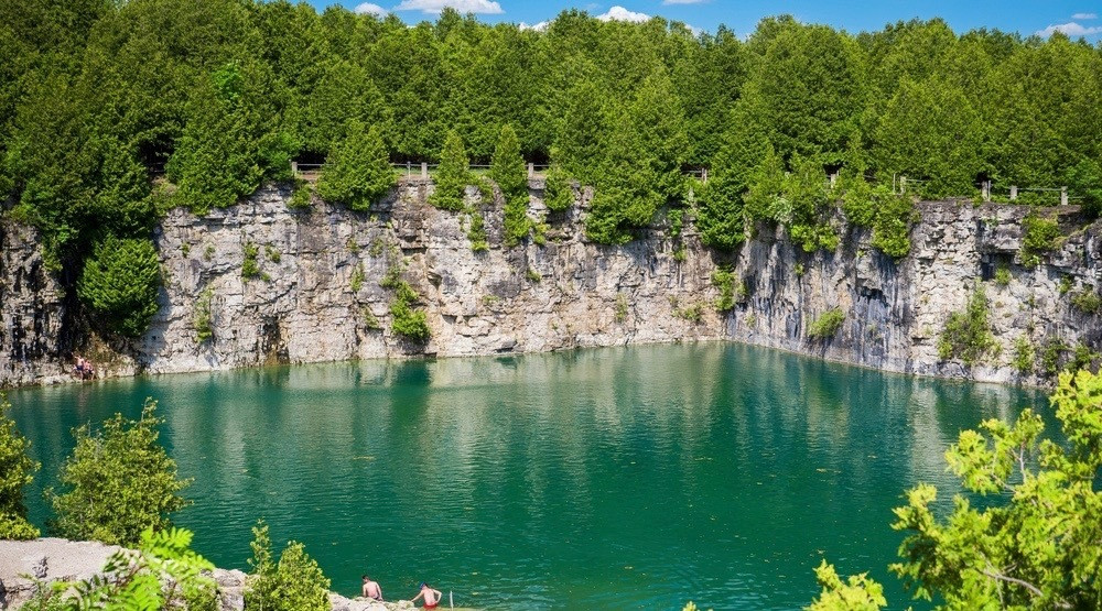 Trees growing along an escarpment on the Elora Gorge