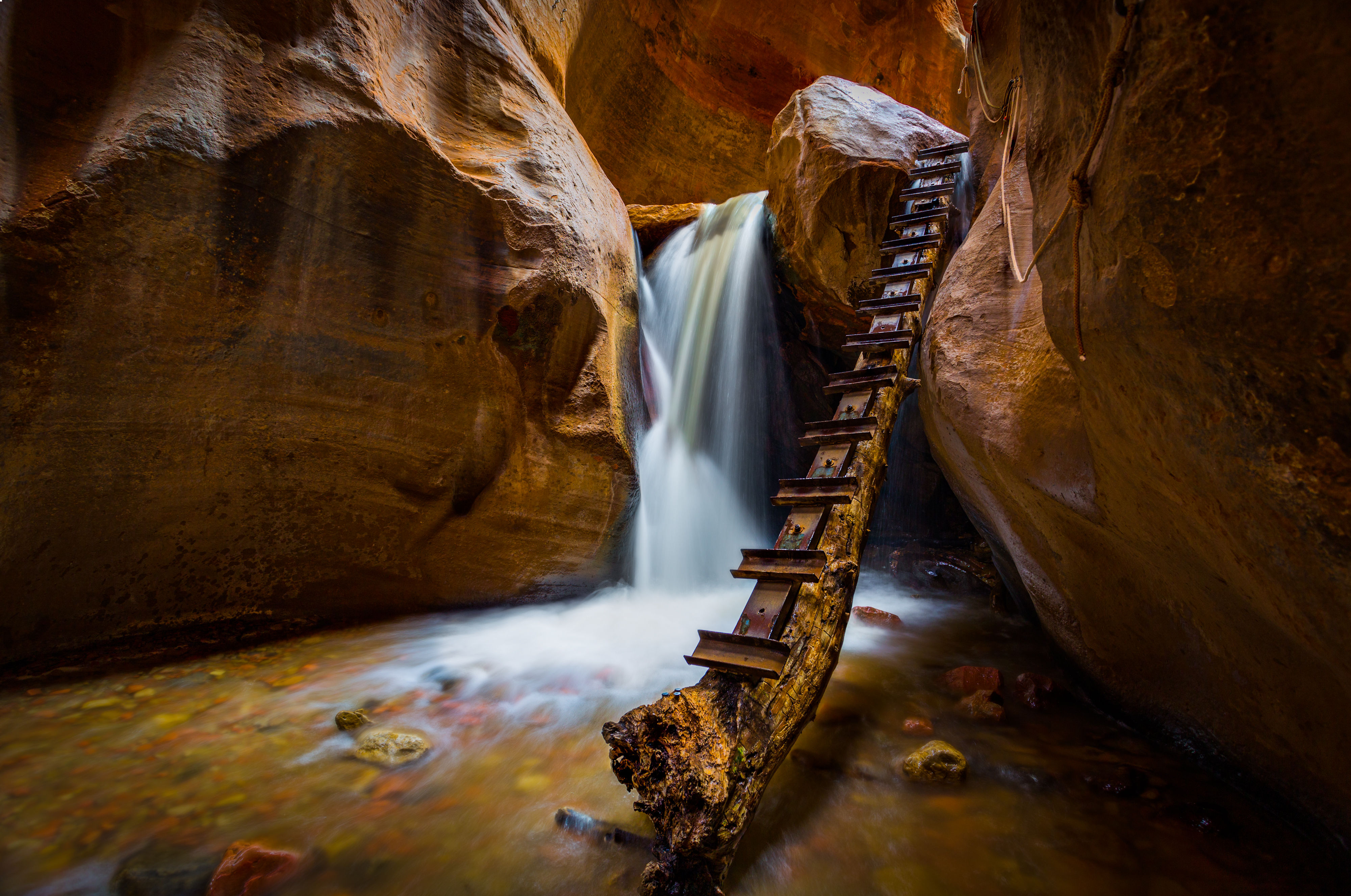 The Only Way - Portrait