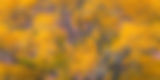 _DSC2966-Edit.jpg
