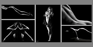 A series of fine art nudes found in the gallery store.